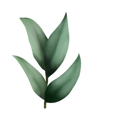 Watercolor green leaf branches or floral illustration for wedding stationery, greetings, background ornament