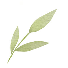 Watercolor green leaf branches or floral illustration for wedding stationery, greetings, background ornament