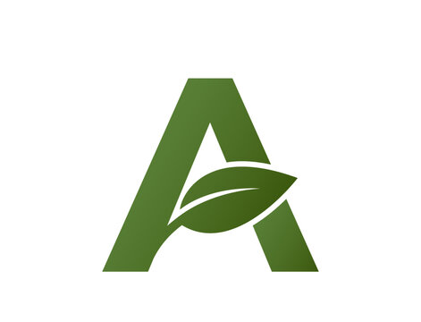letter a with leaf logo. Initial eco logo design. eco friendly, ecology and environment symbol. isolated vector image