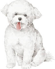 Bicho frise dog illustration