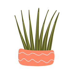 Hand drawn succulent cacti plant. Cactus pot. Hand drawn doodle desert tropical cactus with spines and flowers. Colored flat cartoon vector illustration isolated on white background