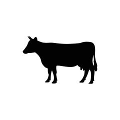 silhouette a cow animals vector design. cow silhouette graphicsa milk cow,ilustrator eps10.