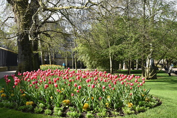 Massif fleuri au jardin du Luxembourg au printemps à Paris