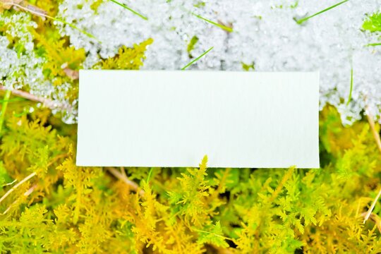 黄緑色の苔の上で溶けかけた氷を背景にしたコメントフレームのモックアップ
