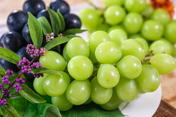秋の味覚　シャインマスカット