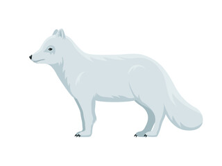 Vector arctic fox