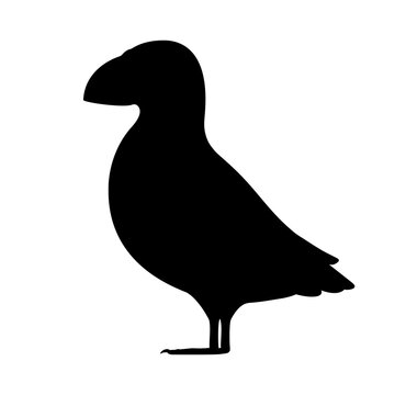 recommend clip art: Puffin bird silhouette