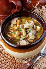 Tasty mushroom soup in ceramic  bowl