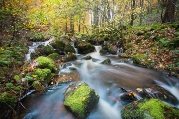 Scène automnale: la cascade de Brisecou en Bourgogne près d'autun dans la forêt aux couleurs de...