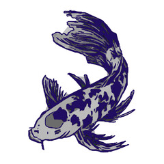 koi fish design sketch no background and PNG format