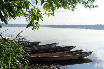 The beautiful lagoon of Limoncocha, biological reserve.