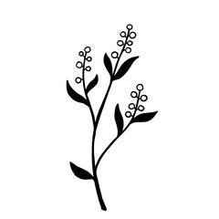 Simple botanical sketch of wild field plant,meadow grass.Vector graphic.