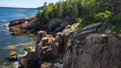 Cliffs Facing The Atlantic Ocean Landscape Creating A Breathtaking Scene With Combination Of Pine Trees, Sunlight, Ocean Shoreline and Clear Blue Sky