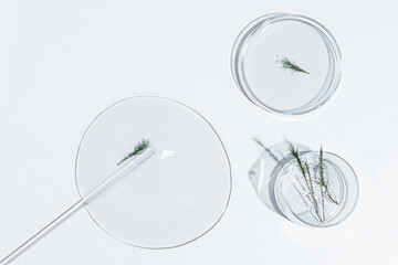 Petri dish, gel, flask. Plant laboratory. View from above. Medicine, gel texture, white, greens, pipette, samples, research. Material collection.