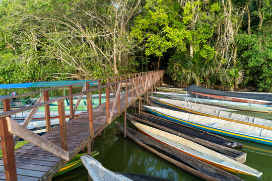 The beautiful lagoon of Limoncocha, biological reserve.