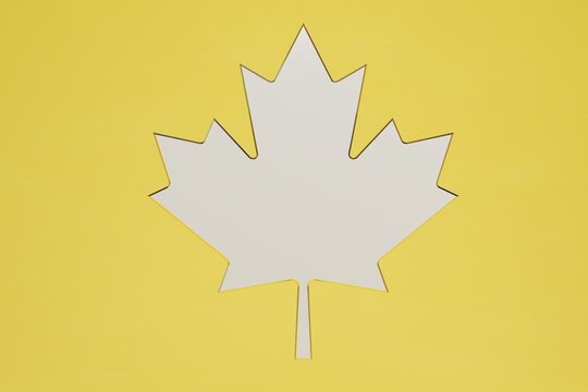 abstract background. white maple leaf on a yellow background. 3D render