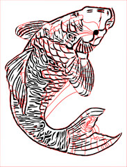koi fish design sketch no background and PNG format