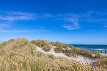 Skagens Odde, English&nbsp;&nbsp;Scaw Spit&nbsp;or&nbsp;The Skaw)is a sandy&nbsp;peninsula&nbsp;  the northernmost area of&nbsp;Vendsyssel&nbsp;in&nbsp;Jutland,&nbsp;Denmark.,Europe