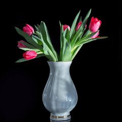 bouquet of tulips on a black background
