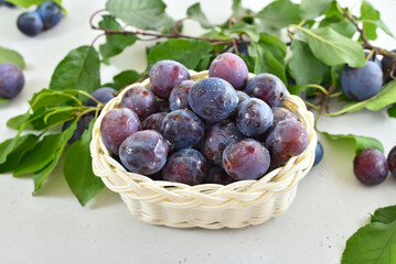 Fresh plums in the basket