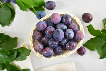 Fresh plums over light stone background