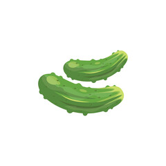 Cucumber vector illustration, cucumber flat icon, cucumber vegetable illustration