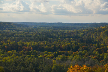 Beautiful autumn landscape with tree tops colored in yellow, orange, red and green. Golden autumn