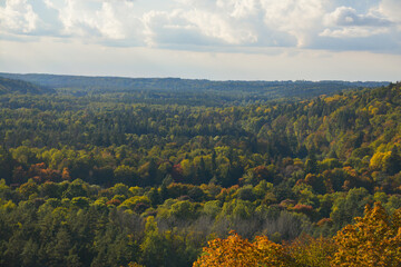 Beautiful autumn landscape with tree tops colored in yellow, orange, red and green. Golden autumn