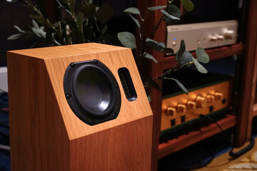 High-quality speakers, wooden cabinets in the music room. Hi-Fi sound system in the home music...