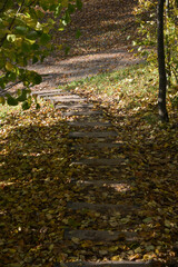 Wooden plank stairs on a pedestrian tourist trail in a forest covered with yellow autumn tree leaves.