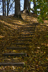 Wooden plank stairs on a pedestrian tourist trail in a forest covered with yellow autumn tree leaves.