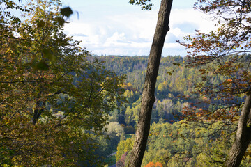 Autumn landscape with colorful tree leaves.