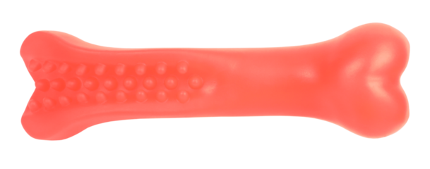 Dog bone orange pet toy perfect isolated on white background. Pets playing concept