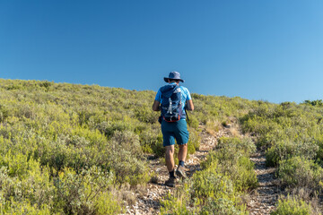 Rear view, male hiker walking along a path with bushes, against blue and sunny sky