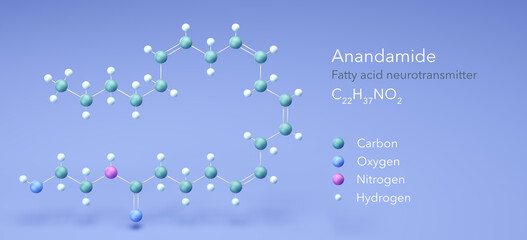 anandamide, molecular structures, Fatty acid neurotransmitter, 3d model, Structural Chemical Formula and Atoms with Color Coding