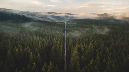 View from above of untouched nature and a straight asphalt road heading into the unknown in the morning mist and rain. A dark green tinge