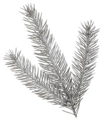 Fir branch dyed in silver colour. Layout isolated on transparent background with clipping path