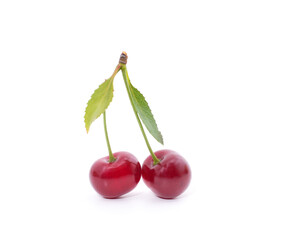 Two red cherries.