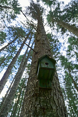 birdhouse on tree