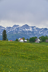 houses in the meadow with mountains in the background