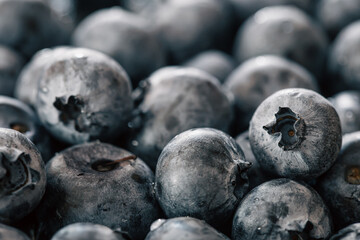 Water drops on ripe sweet blueberry, macro.