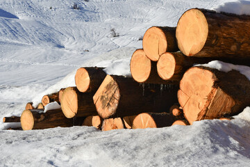 Round logs of wood lying in snow
