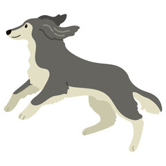 Fototapeta na wymiar Simple and adorable Saluki dog illustration jumping flat colored
