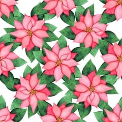 Watercolor christmas poinsettia seamless pattern on white background