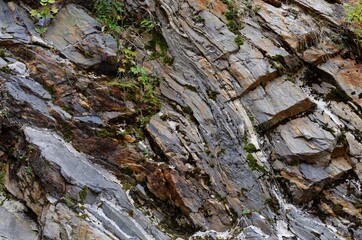 Dark diagonal granite rock layers with some vegetation