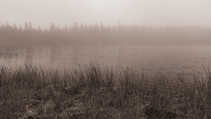 By the shores of Skurvetjern Lake, part of the Totenaasen Hills, Norway, a foggy morning.