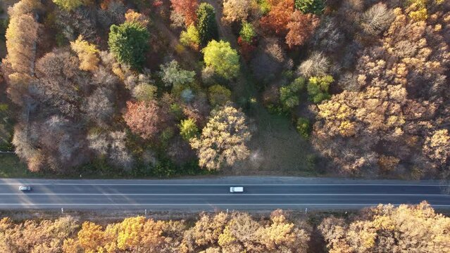 Aerial view of forest and road plain during a autumn day.