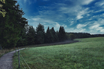 landscape with trees and clouds