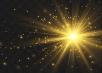 Fototapeta na wymiar The dust sparks and golden stars shine with special light. Vector sparkles on a transparent background. Christmas light effect.