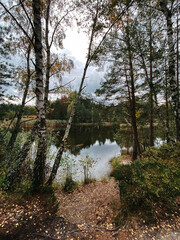 A lake in the forest on the shore of which there are coniferous trees and birches. Autumn. Vertical orientation